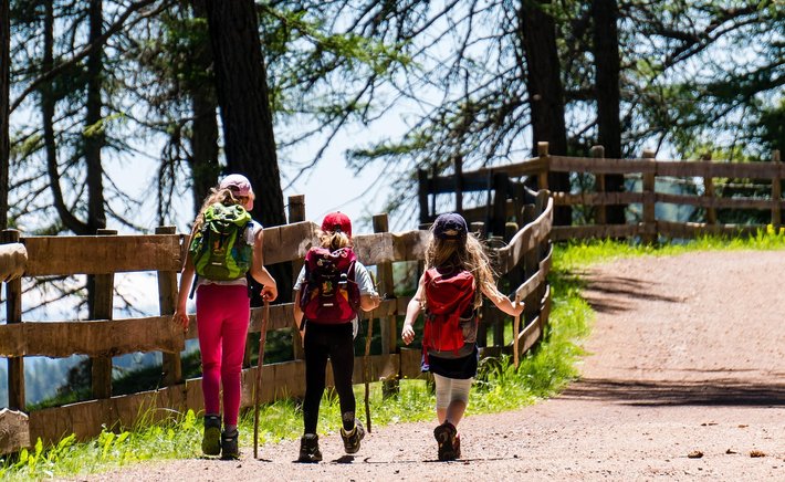 Crestview Trail Cleanup Draws Record Volunteers, Reveals Hidden Waterfall