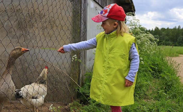New Community Garden Plots Open on Summit Street After Years of Waiting